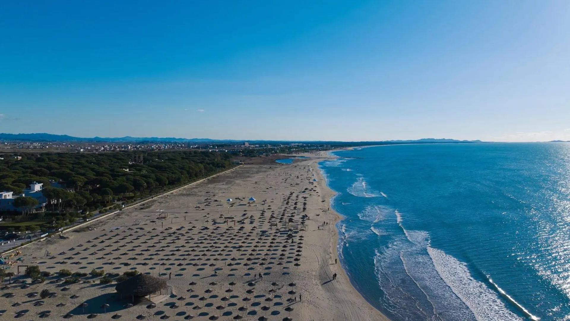 Olive Tree Apartment - Happy Rentals Plazhi San Pietro